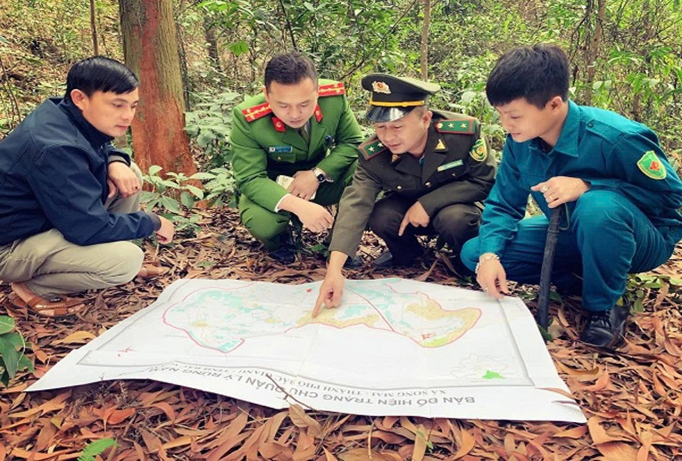 anh tin bai